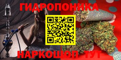 МДПВ Сланцы