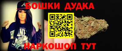 МДПВ Сланцы