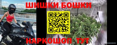 МДПВ Сланцы