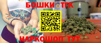 МДПВ Сланцы